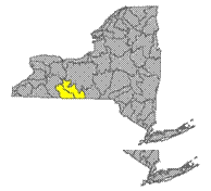 Map of NYS identifying the Upper Susquehanna River Watershed,Map of NYS identifying the Allegheny Watershed